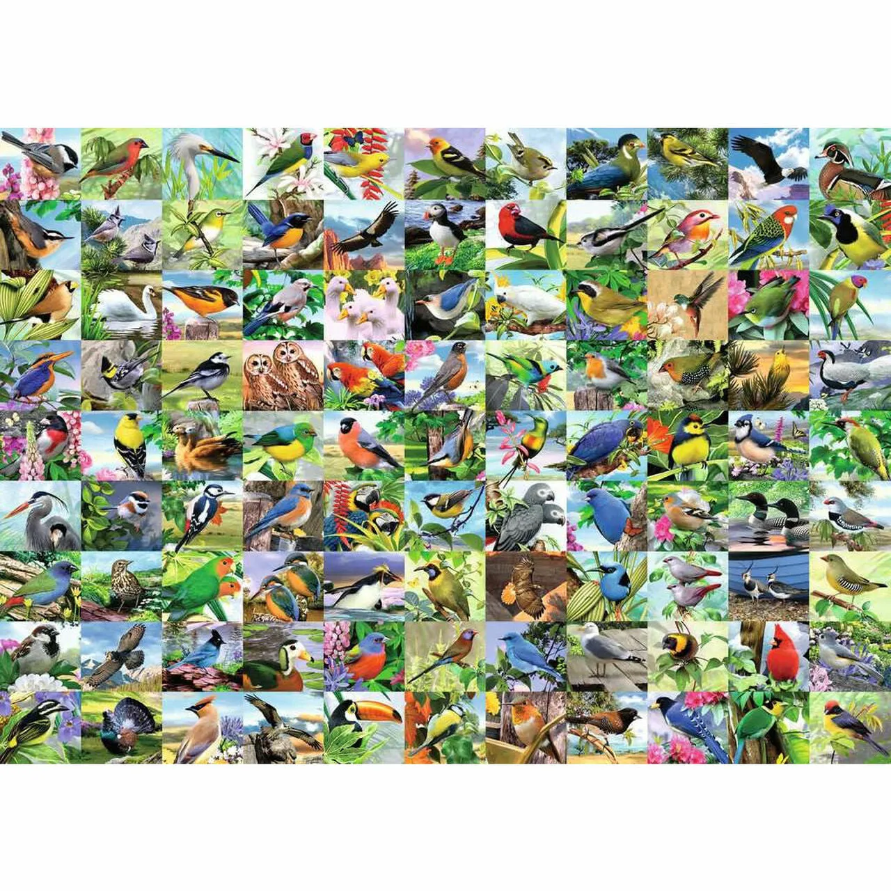 99 Delightful Birds 300 pc Large Format