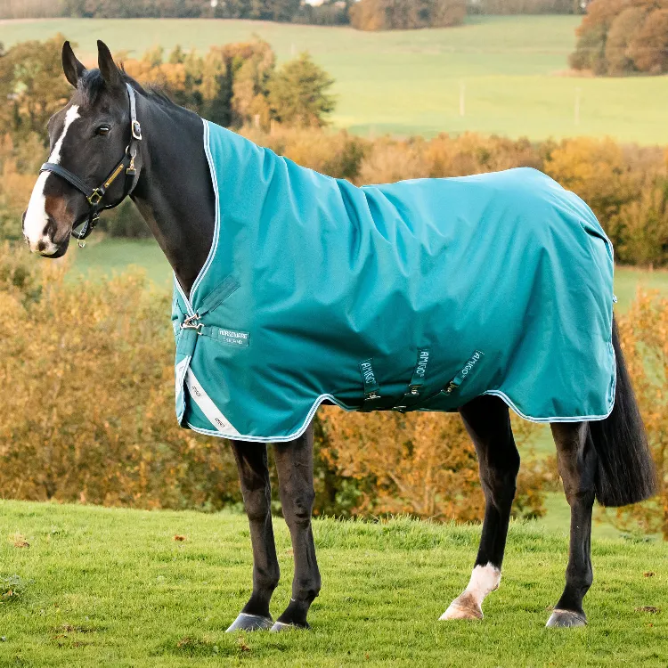 Amigo® Bravo 12 Wug 250G Medium Turnout Blanket   FREE Custom Name Tag!