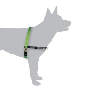 Black Dog Wear Balance Harness Medium