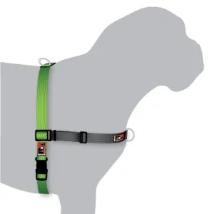 Black Dog Wear Balance Harness XLarge