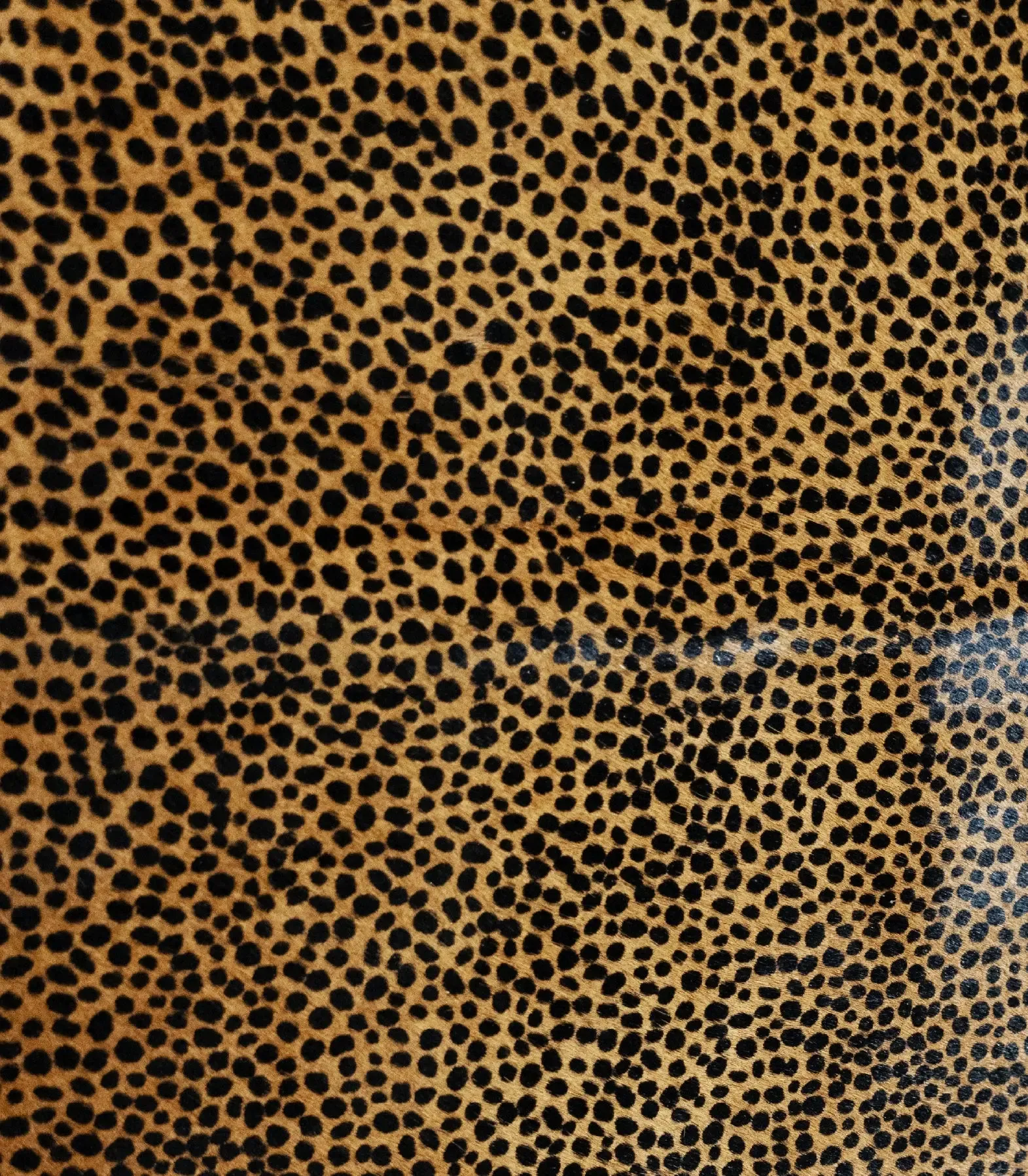 Hair-On Small Cheetah Print Cowhide