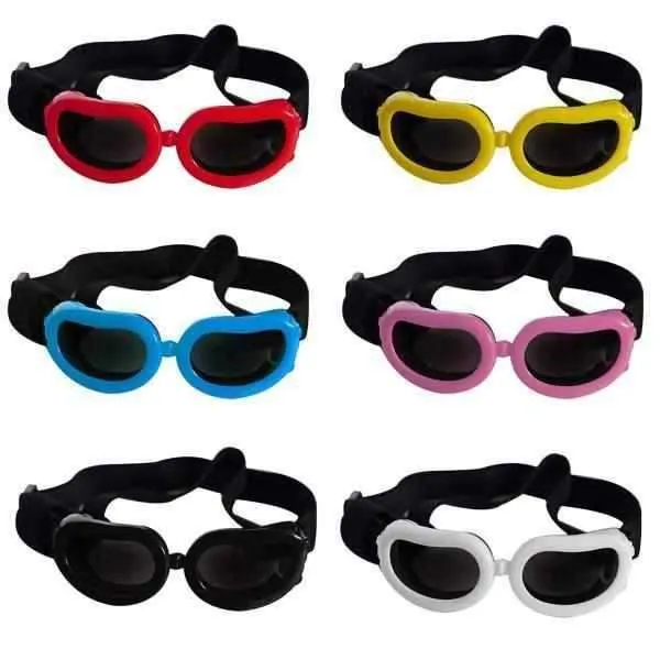 Jelly Bean Dog Goggles