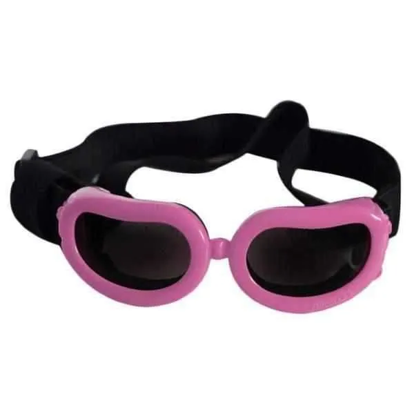 Jelly Bean Dog Goggles