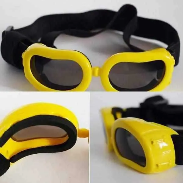 Jelly Bean Dog Goggles