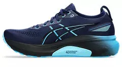 Men's Asics Gel Kayano 31