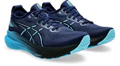 Men's Asics Gel Kayano 31