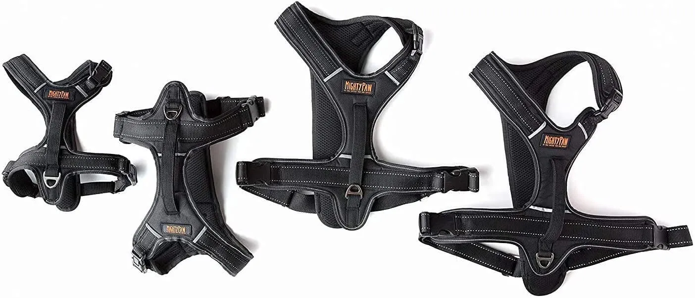 Mighty Paw Sport Harness: Your Dog's Safety Companion on the Road