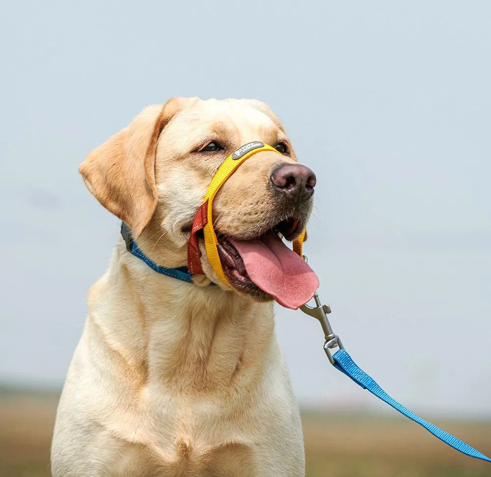 Multi-functional Dog Training Yellow Adjustable Guided Muzzle With Leash