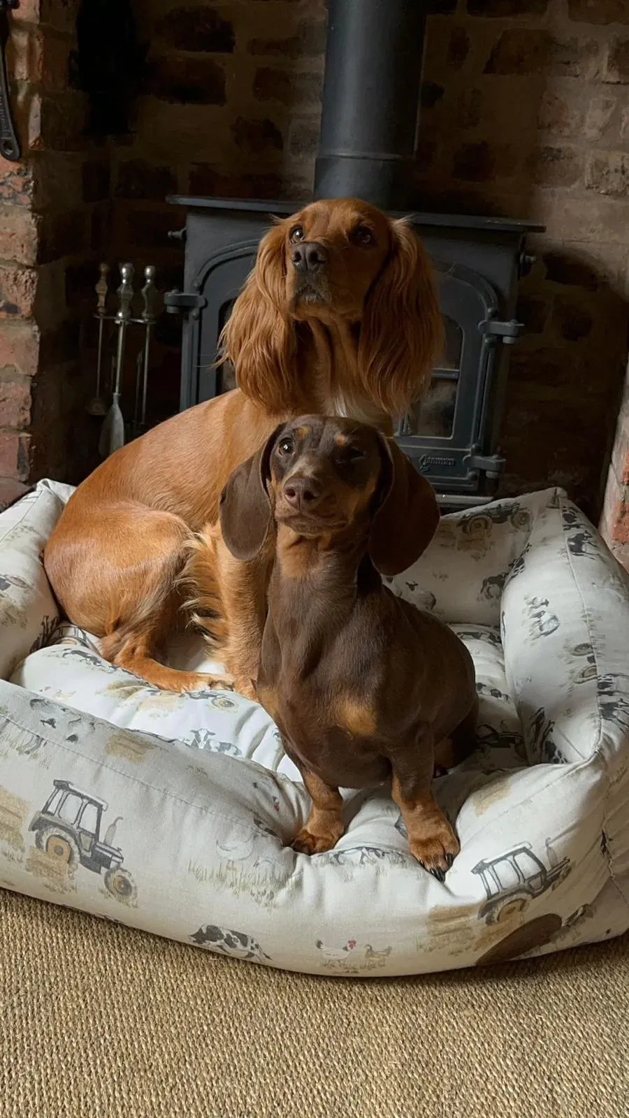 Snug & Cosy Farmyard Rectangle Dog Bed